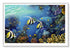 white wood framed original painting great barrier reef angel fish wall art print